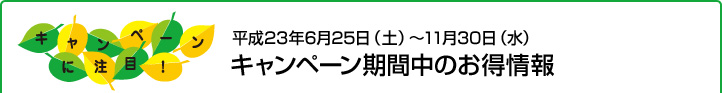 キャンペーン期間中のお得情報