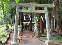 山頂で山ゴハンと景色を満喫して下山