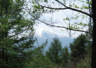 富士山の姿を眺めながら下山